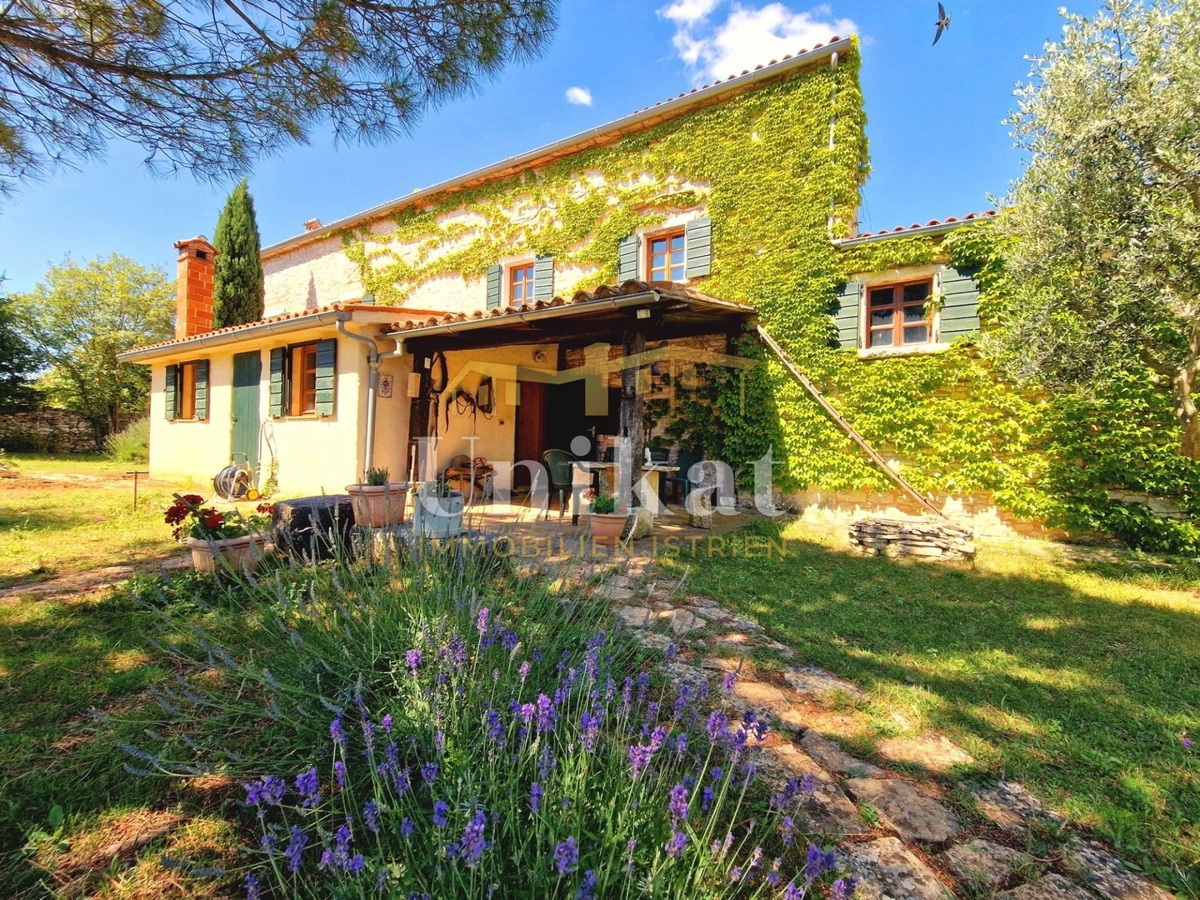 Autentica proprietà con casa in pietra e ampio terreno